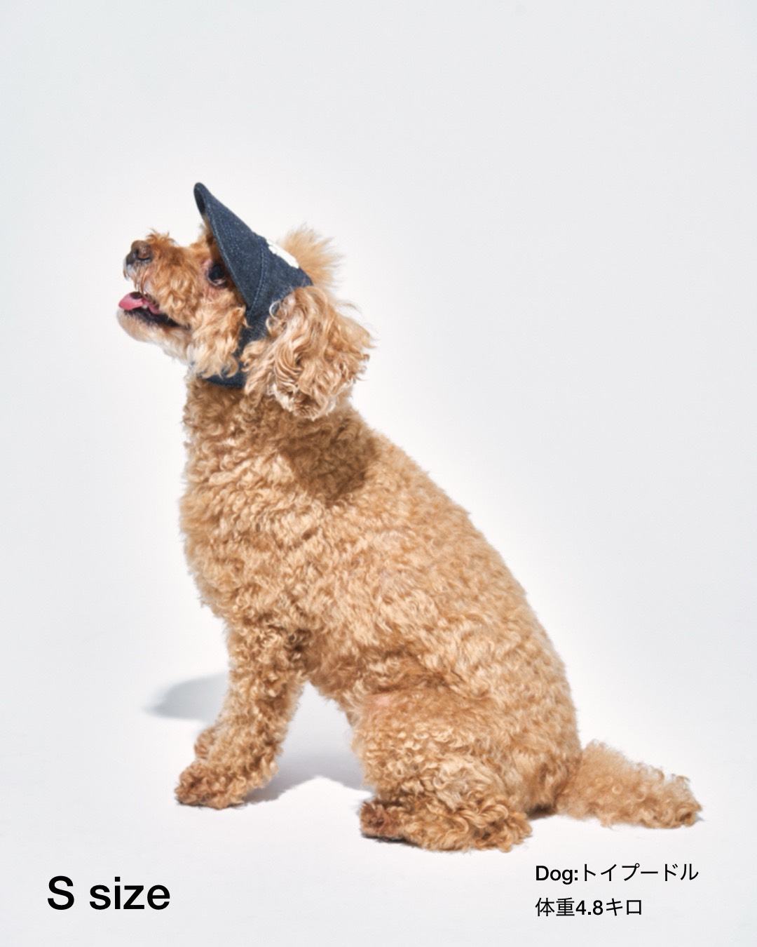 MyBuddy CITY DOG DENIM CAP (INDIGO)