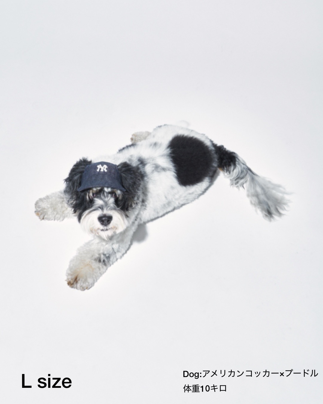 MyBuddy CITY DOG DENIM CAP (INDIGO)